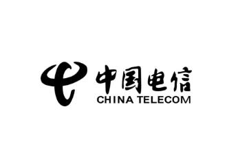 中國電信部門調(diào)整！設(shè)立網(wǎng)絡(luò)和信息安全管理部
